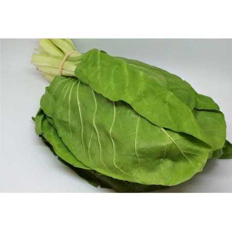 Acelgas Chamartín Acelgas Chamartín