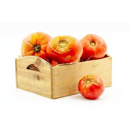 Tomate rosa Chamartín Tomate rosa Chamartín
