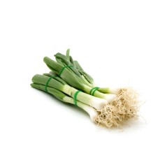 Cebolletas Chamartín