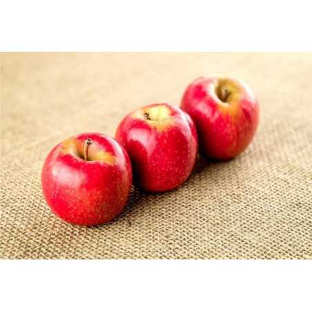 Manzana Fuji Chamartín Manzana Fuji Chamartín