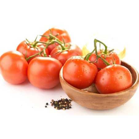 Tomate en rama Chamartín Tomate en rama Chamartín