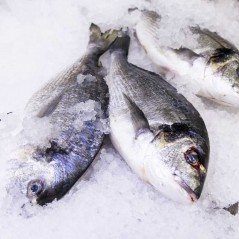 Dorada grande entera para la sal
