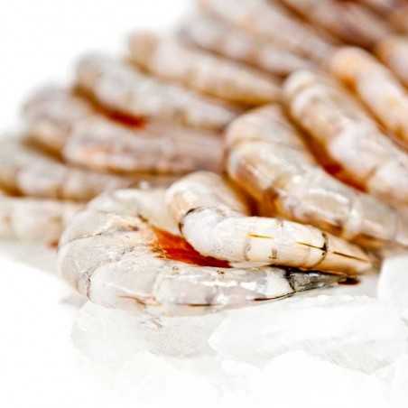 Gamba de Huelva mediana fresca en bandeja 250 gr Gamba de Huelva mediana fresca en bandeja 250 gr