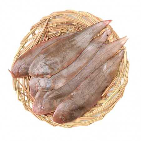 Lenguado en filetes Lenguado en filetes