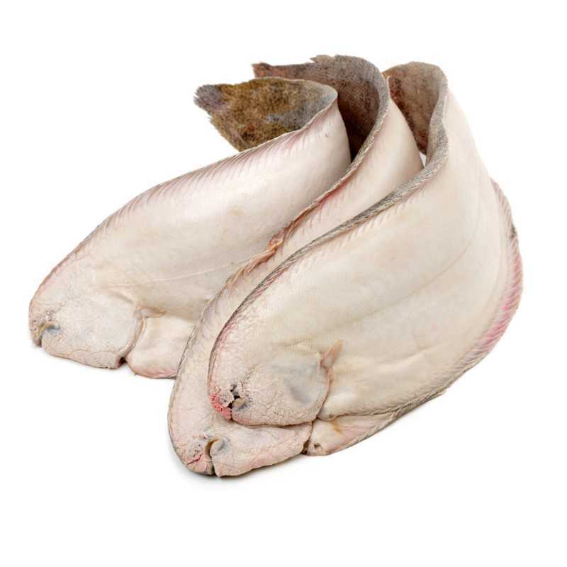 Lenguado migoso