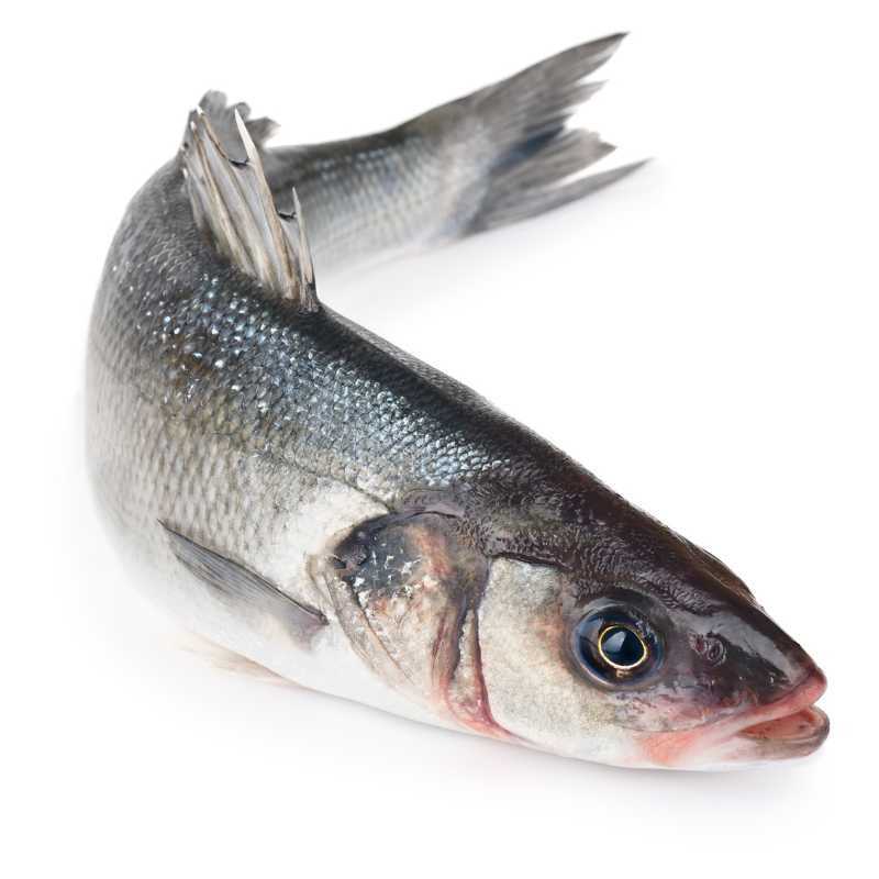 Lubina grande en filetes