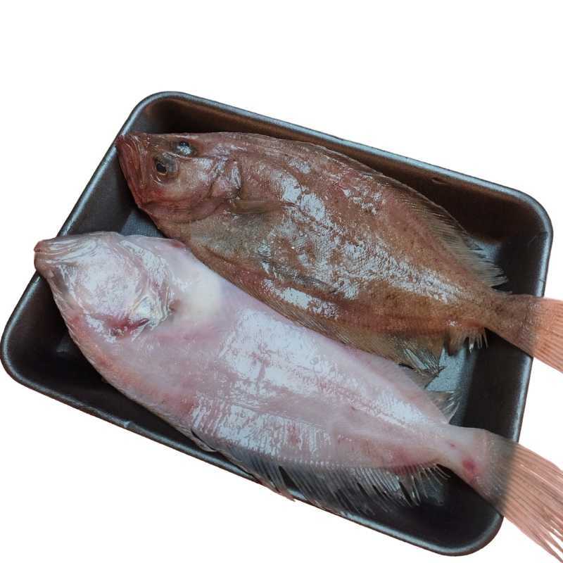 Gallo en filetes