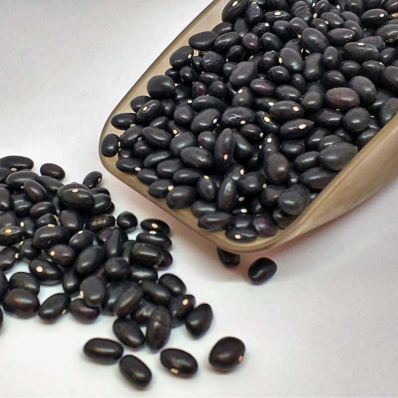 Alubia de Tolosa 1 Kg