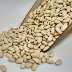 Alubia plancheta 1Kg