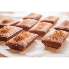 Financier