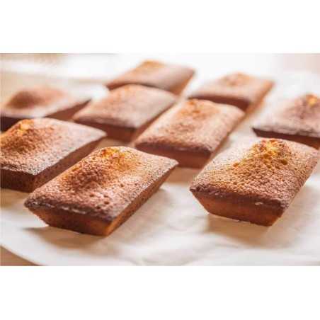 Financier