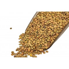 Lenteja de La Armuña 1Kg
