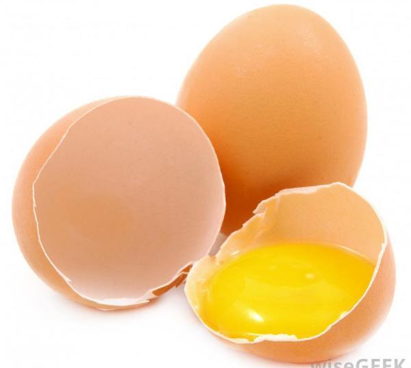 Alimentacion y huevo