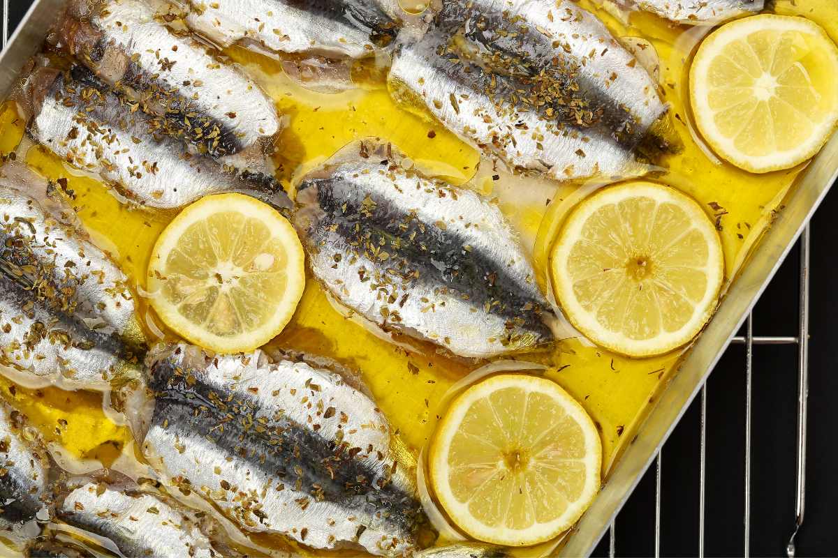 sardinas marinadas al limón