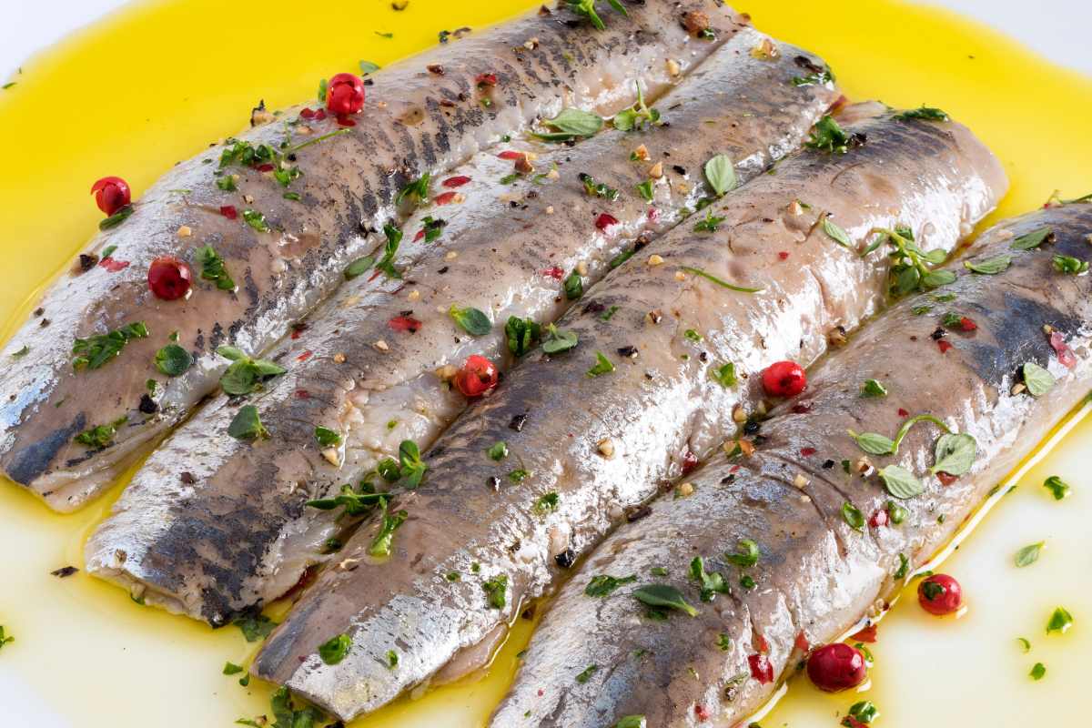 sardinas marinadas