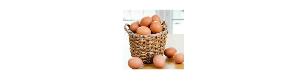 Huevos - Mercado de Chamartín