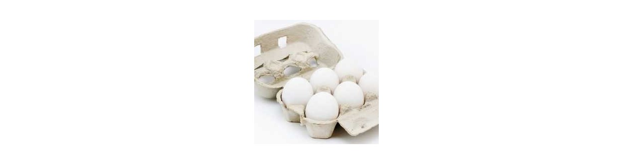 Huevos Blancos - Mercado de Chamartín